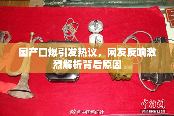 国产囗爆引发热议，网友反响激烈解析背后原因