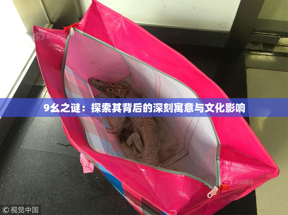 9幺之谜：探索其背后的深刻寓意与文化影响