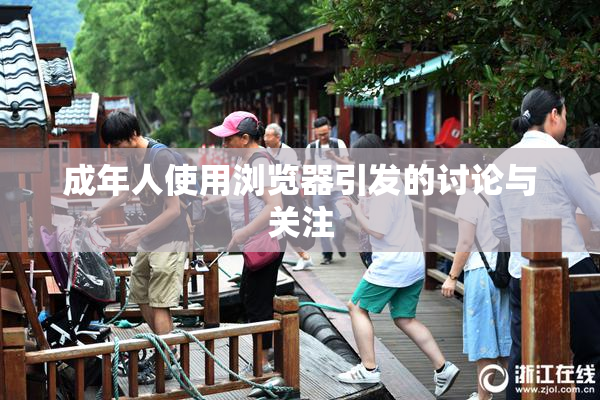 成年人使用浏览器引发的讨论与关注
