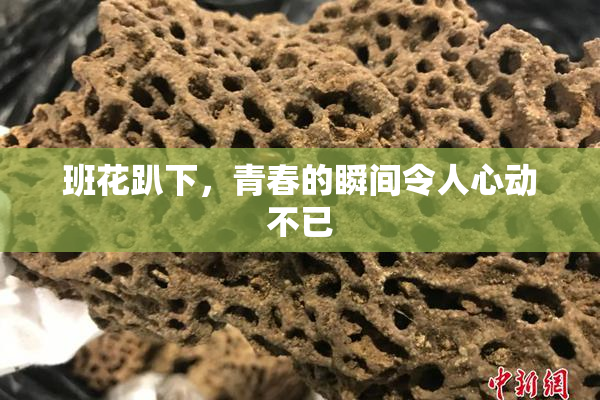 班花趴下，青春的瞬间令人心动不已