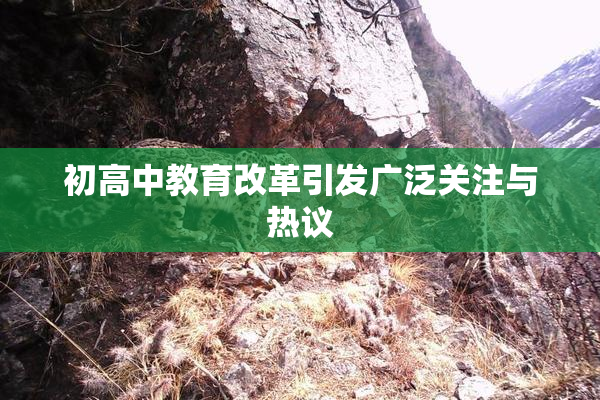初高中教育改革引发广泛关注与热议