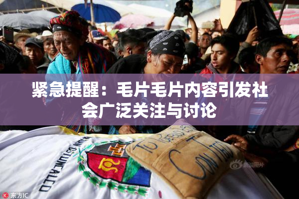 紧急提醒：毛片毛片内容引发社会广泛关注与讨论