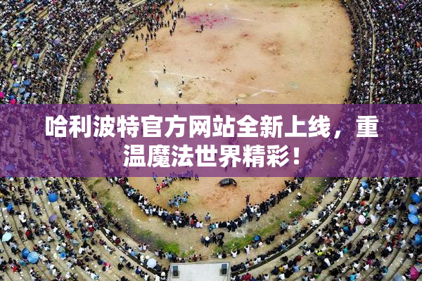 哈利波特官方网站全新上线，重温魔法世界精彩！