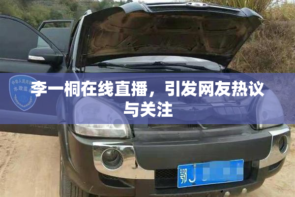 李一桐在线直播，引发网友热议与关注