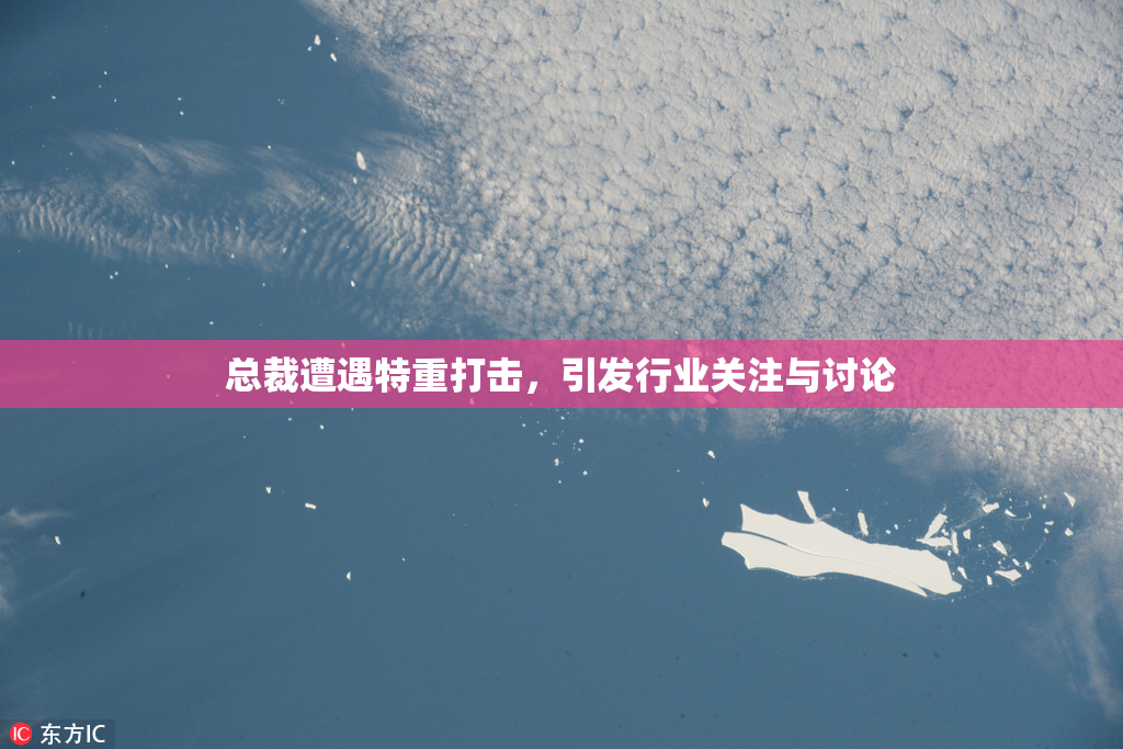 总裁遭遇特重打击，引发行业关注与讨论