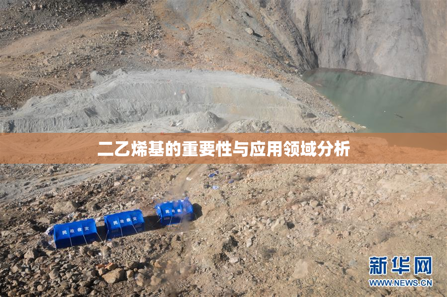 二乙烯基的重要性与应用领域分析