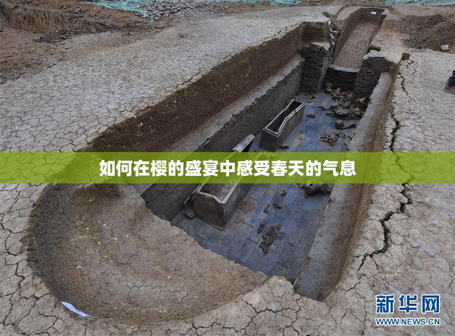 如何在樱的盛宴中感受春天的气息