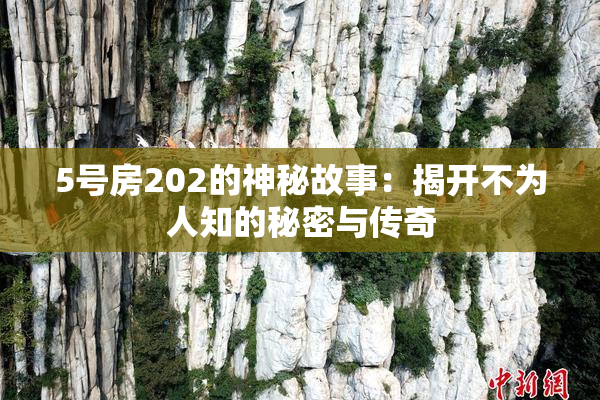 5号房202的神秘故事：揭开不为人知的秘密与传奇