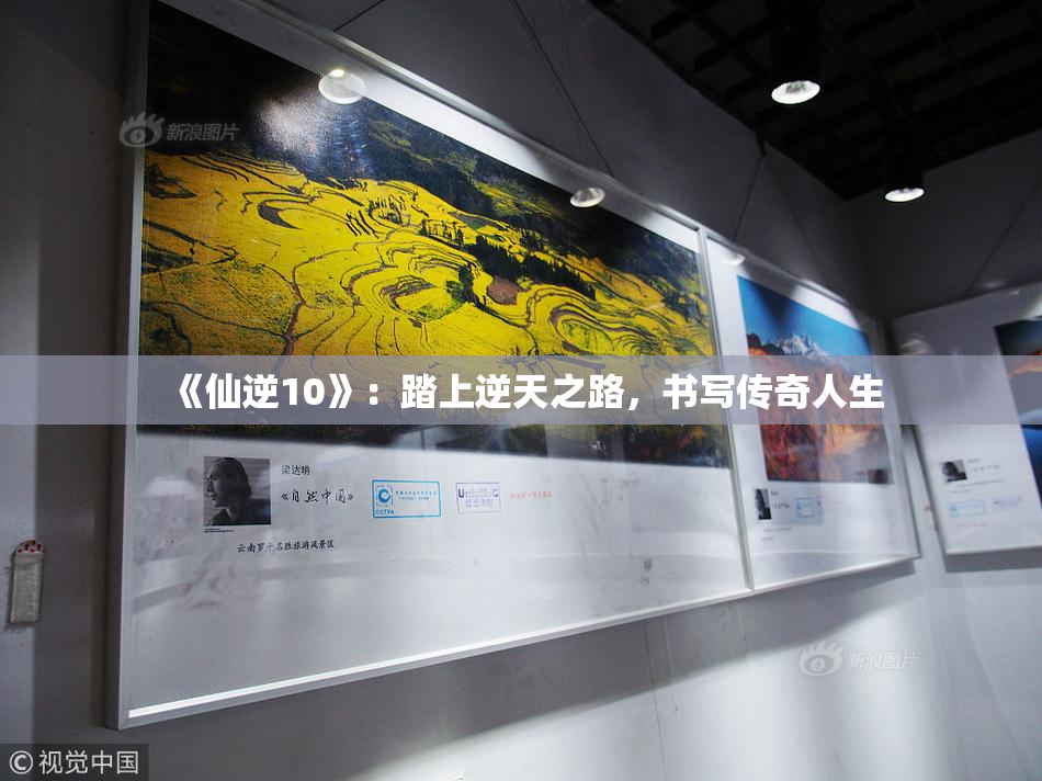 《仙逆10》：踏上逆天之路，书写传奇人生