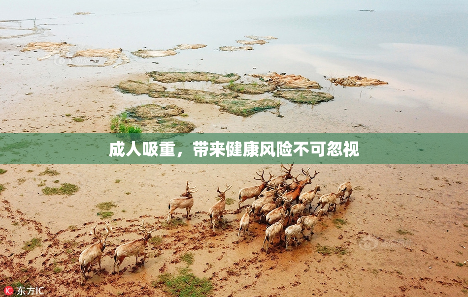成人吸重，带来健康风险不可忽视