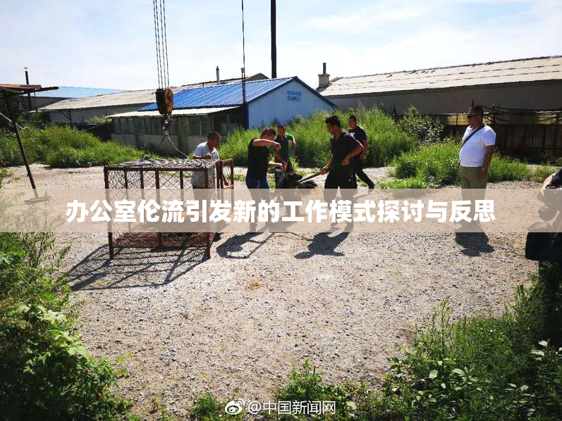 办公室伦流引发新的工作模式探讨与反思
