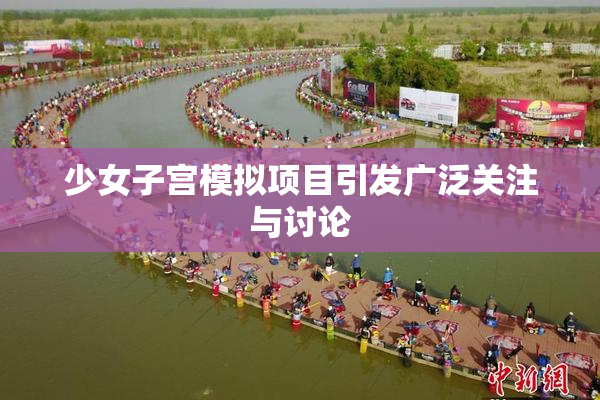 少女子宫模拟项目引发广泛关注与讨论