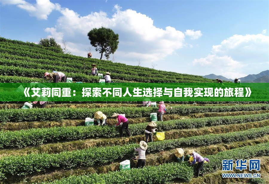 《艾莉同重：探索不同人生选择与自我实现的旅程》