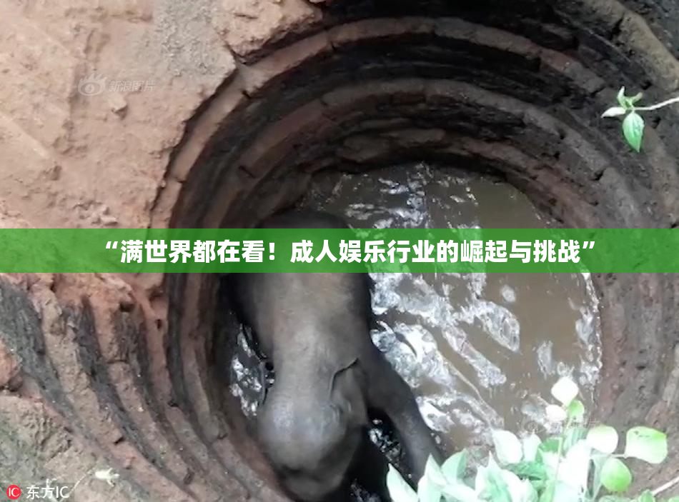 “满世界都在看！成人娱乐行业的崛起与挑战”
