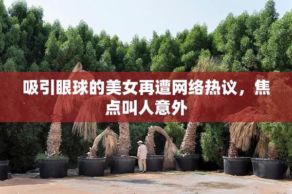 吸引眼球的美女再遭网络热议，焦点叫人意外