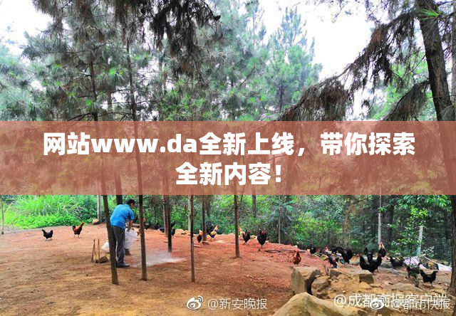 网站www.da全新上线，带你探索全新内容！