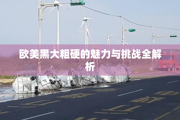 欧美黑大粗硬的魅力与挑战全解析