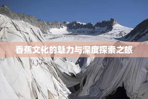 香蕉文化的魅力与深度探索之旅
