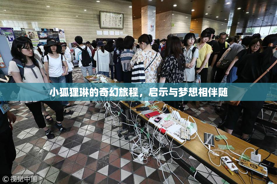 小狐狸琳的奇幻旅程，启示与梦想相伴随