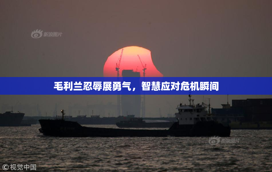 毛利兰忍辱展勇气，智慧应对危机瞬间
