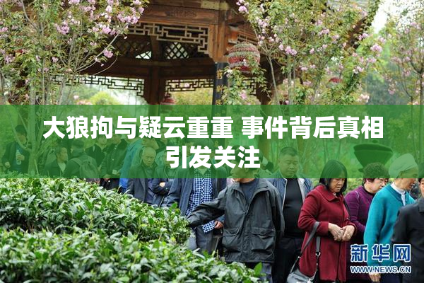 大狼拘与疑云重重 事件背后真相引发关注