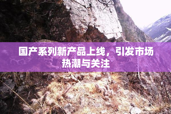 国产系列新产品上线，引发市场热潮与关注