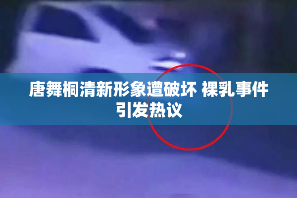 唐舞桐清新形象遭破坏 裸乳事件引发热议