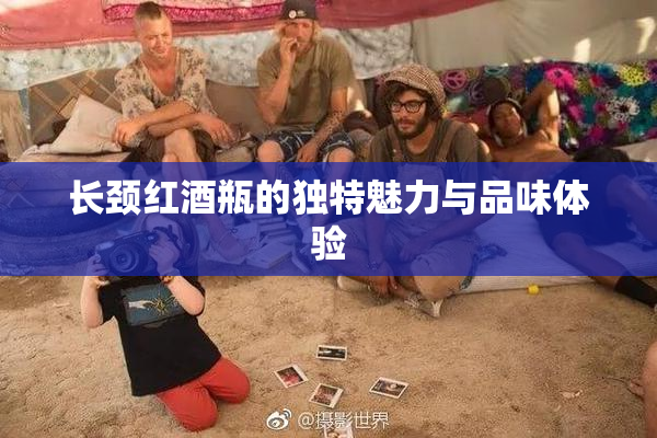 长颈红酒瓶的独特魅力与品味体验