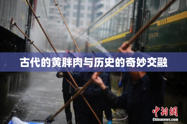 古代的黄胖肉与历史的奇妙交融
