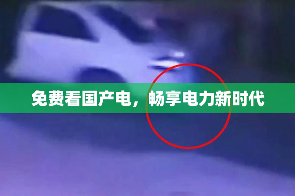 免费看国产电，畅享电力新时代