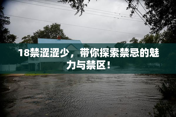 18禁涩涩少，带你探索禁忌的魅力与禁区！