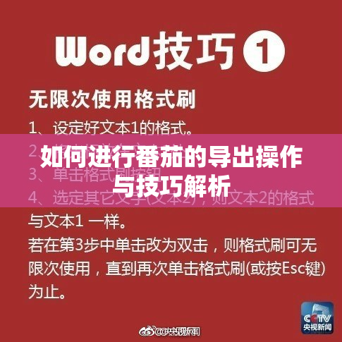 如何进行番茄的导出操作与技巧解析