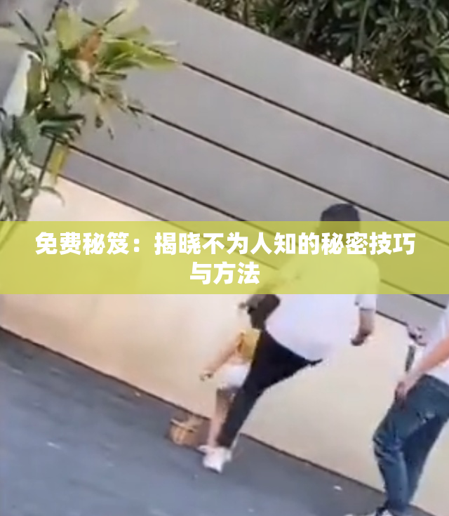 免费秘笈：揭晓不为人知的秘密技巧与方法