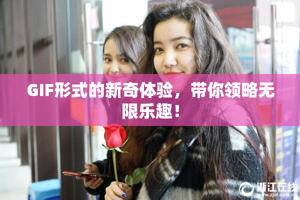GIF形式的新奇体验，带你领略无限乐趣！