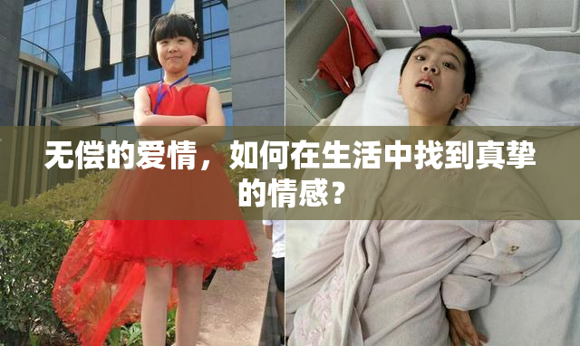 无偿的爱情，如何在生活中找到真挚的情感？