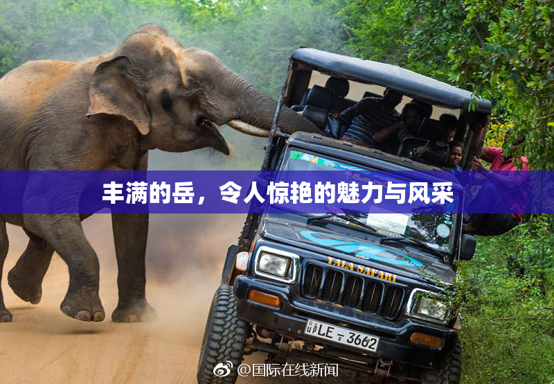 丰满的岳，令人惊艳的魅力与风采
