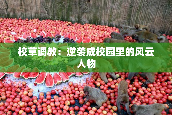 校草调教：逆袭成校园里的风云人物