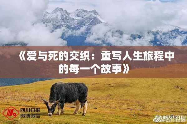 《爱与死的交织：重写人生旅程中的每一个故事》