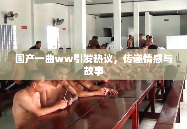 国产一曲ww引发热议，传递情感与故事