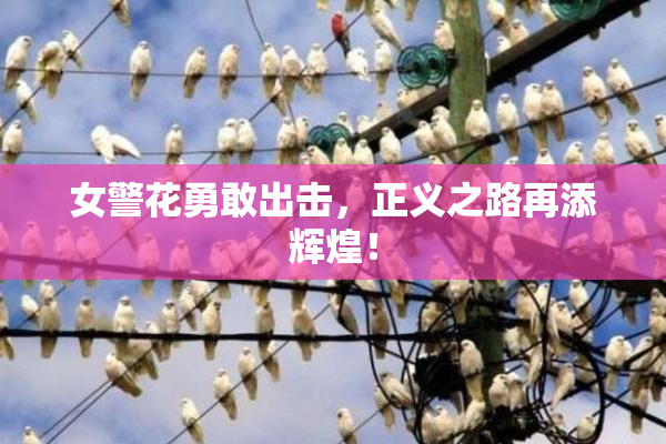 女警花勇敢出击，正义之路再添辉煌！