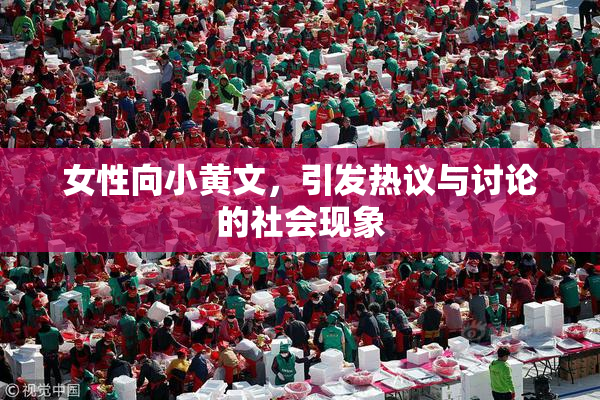 女性向小黄文，引发热议与讨论的社会现象
