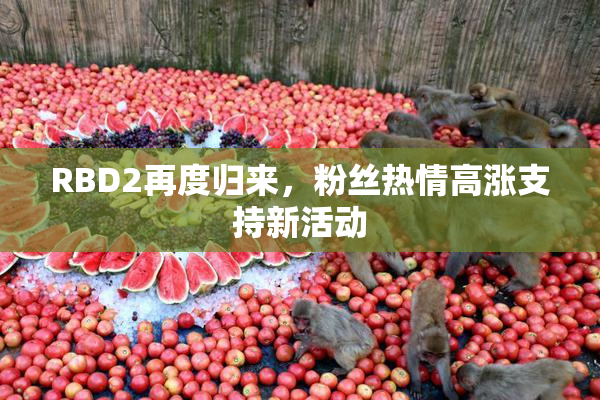 RBD2再度归来，粉丝热情高涨支持新活动