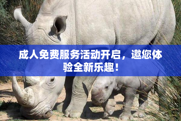 成人免费服务活动开启，邀您体验全新乐趣！