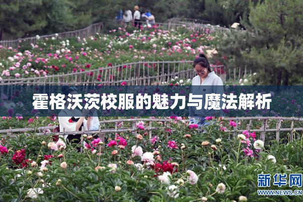 霍格沃茨校服的魅力与魔法解析