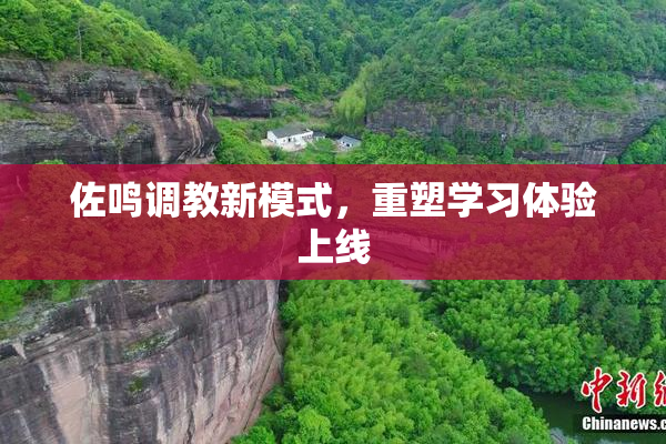 佐鸣调教新模式，重塑学习体验上线