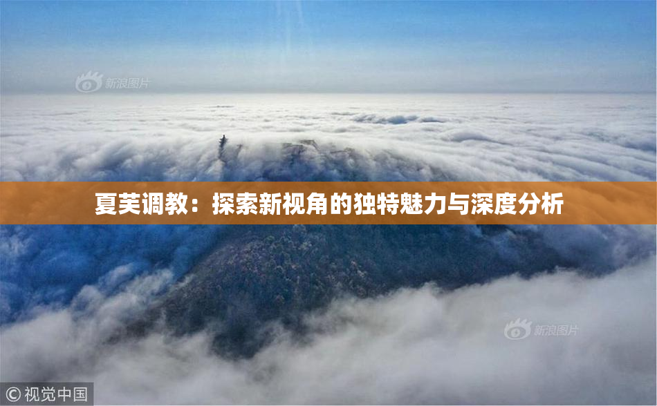 夏芙调教：探索新视角的独特魅力与深度分析