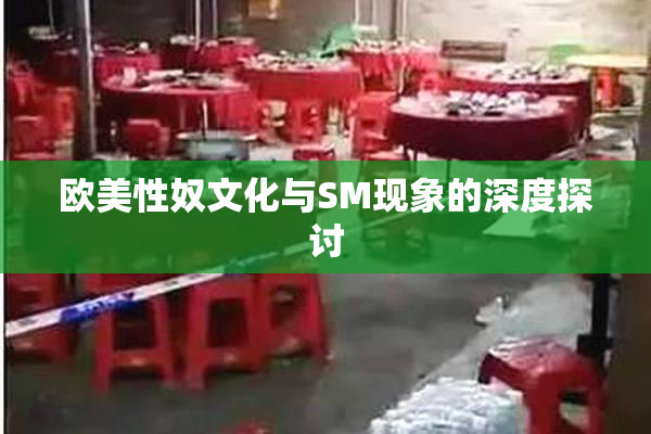 欧美性奴文化与SM现象的深度探讨
