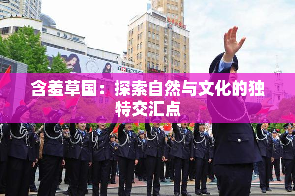 含羞草国：探索自然与文化的独特交汇点