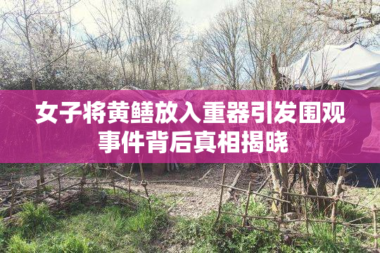 女子将黄鳝放入重器引发围观 事件背后真相揭晓