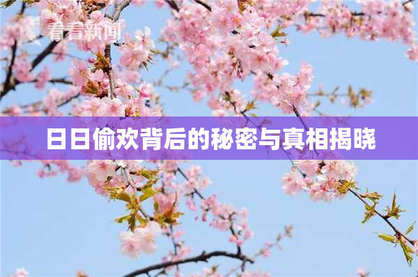日日偷欢背后的秘密与真相揭晓
